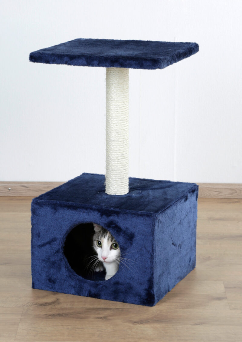 Cat Tree Amethyst