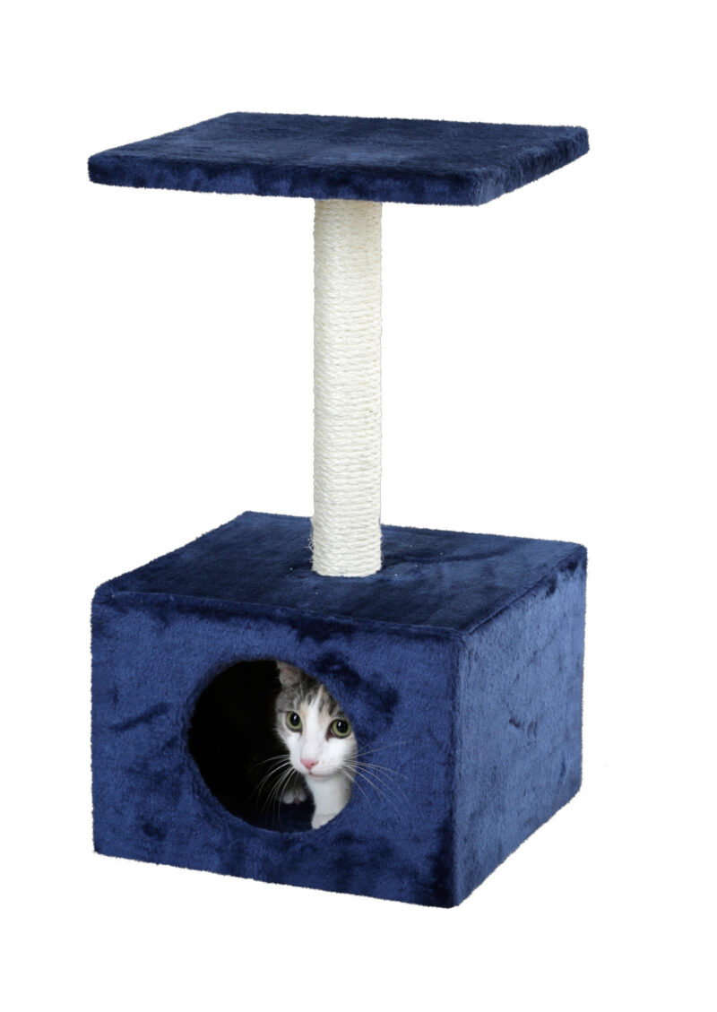 Cat Tree Amethyst