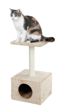 Cat Tree Amethyst