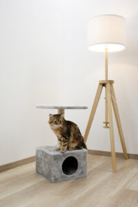 Cat Tree Amethyst