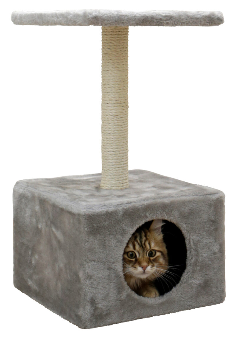 Cat Tree Amethyst