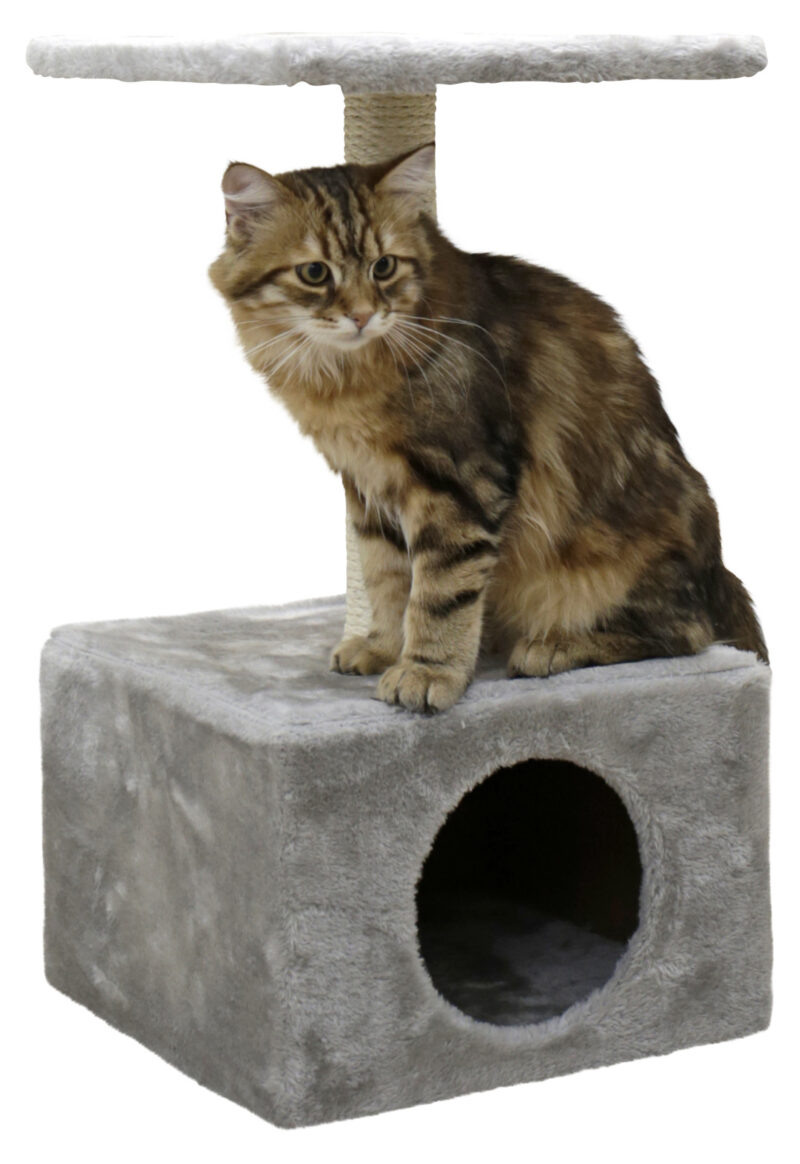 Cat Tree Amethyst