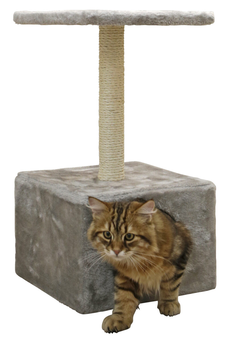 Cat Tree Amethyst