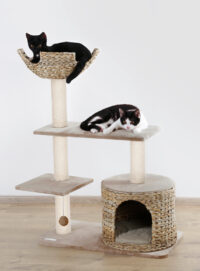 Cat Tree Banana Leaf Jade