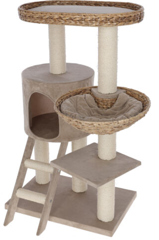 Cat Tree Banana Leaf Waxy