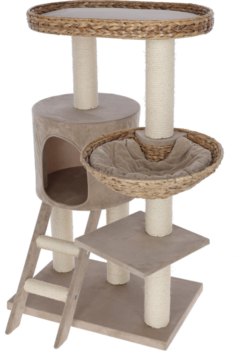 Cat Tree Banana Leaf Waxy