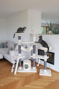 Cat Tree Creativ Adventure