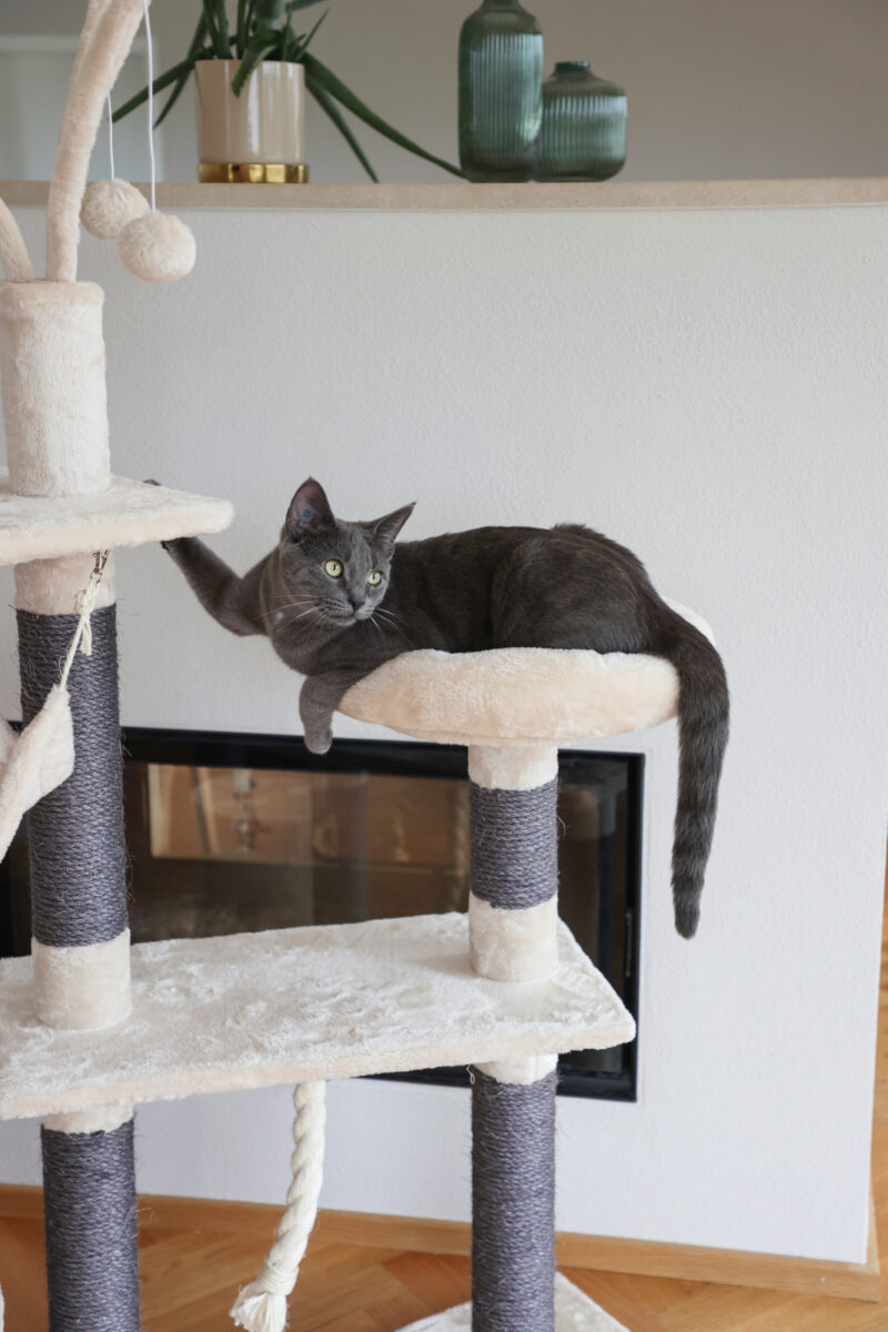 Cat Tree Creativ Adventure