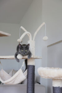 Cat Tree Creativ Adventure