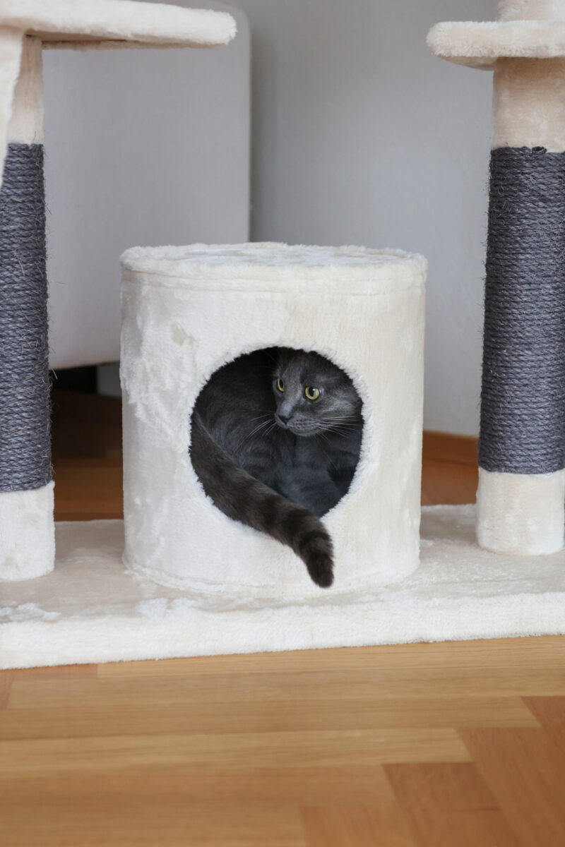 Cat Tree Creativ Adventure