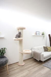 Cat Tree Dolomit Tower