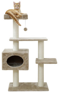 Cat Tree Emmy