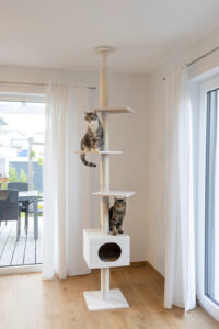 Cat Tree Ferdi