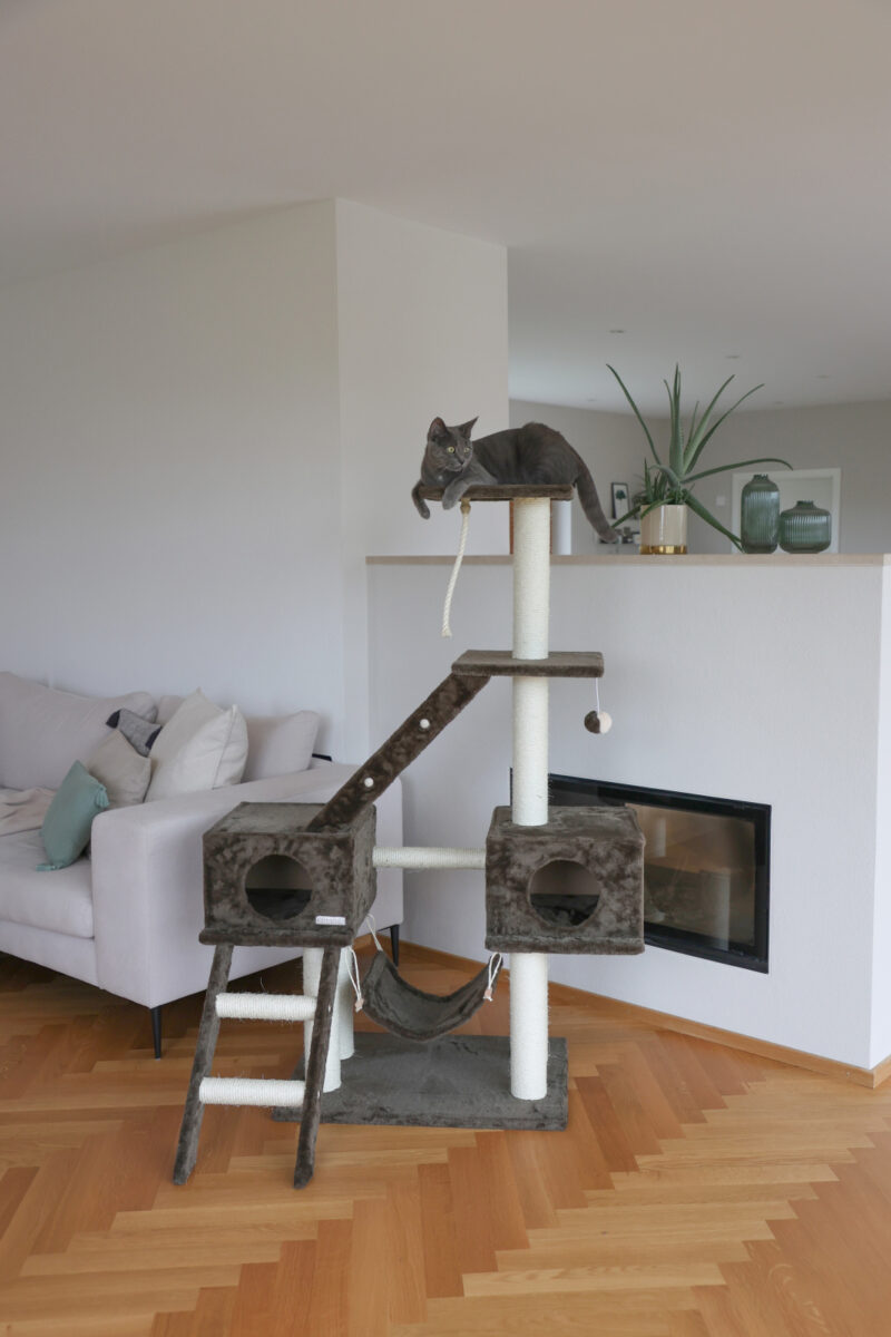 Cat Tree Granat