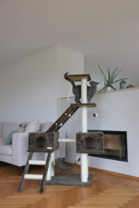 Cat Tree Granat