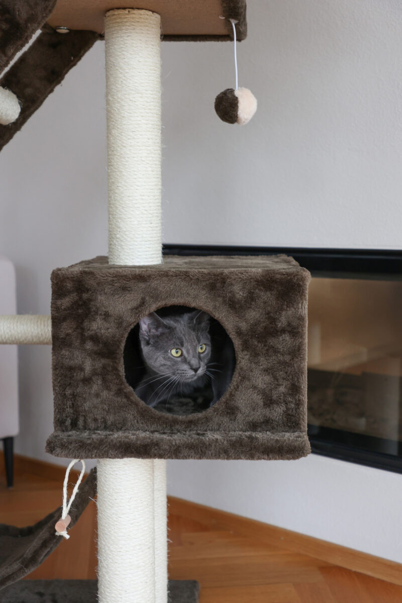 Cat Tree Granat