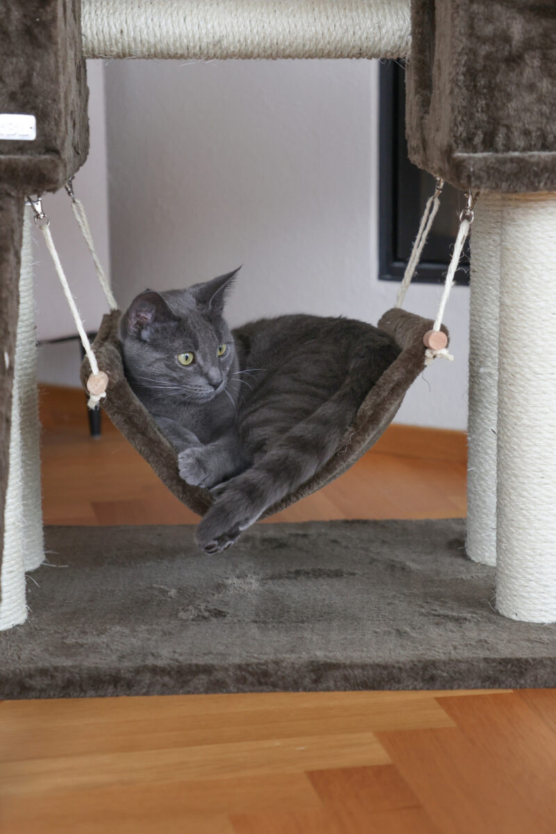 Cat Tree Granat