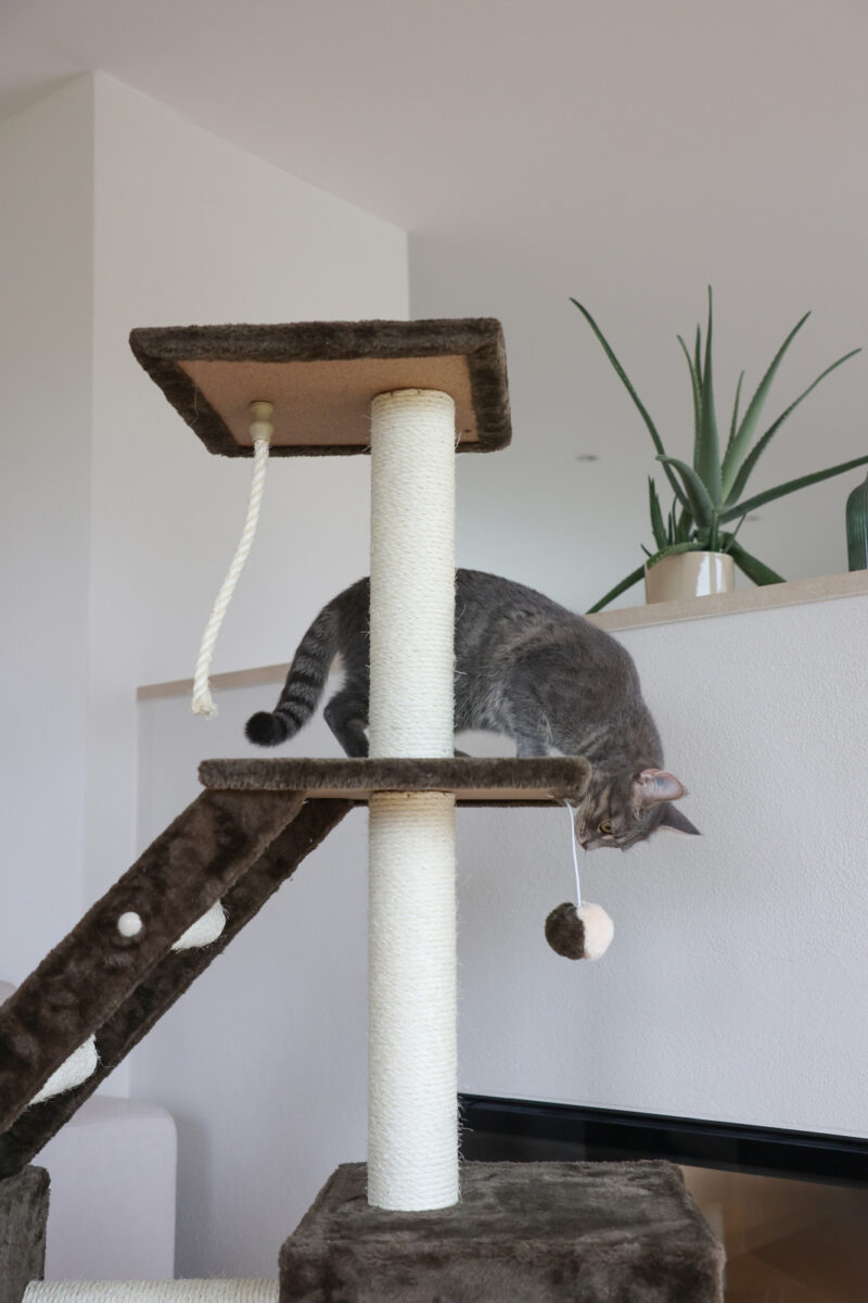 Cat Tree Granat