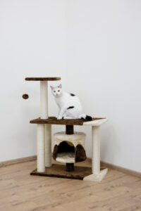 Cat Tree Jade Pro