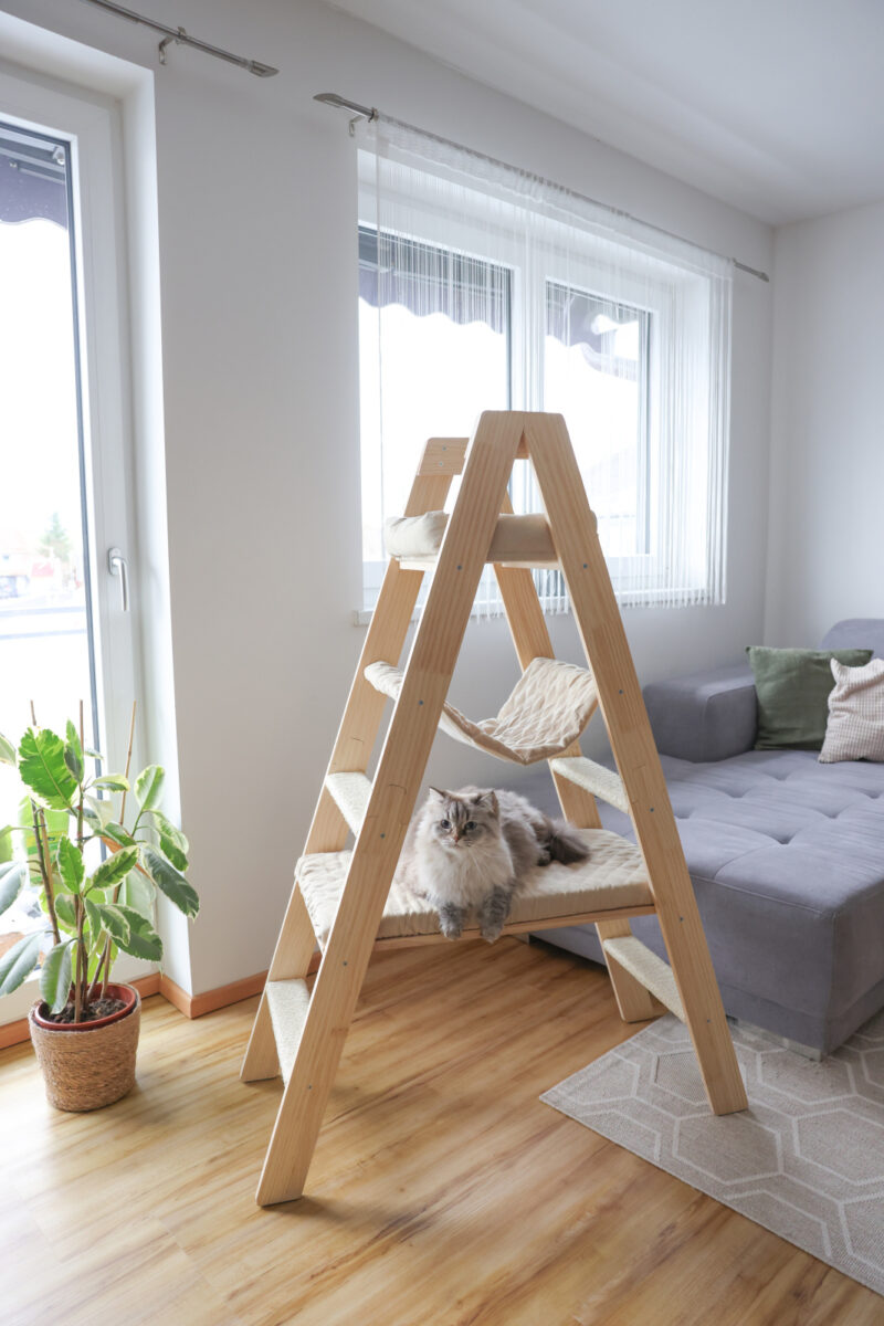 Cat Tree Ladder