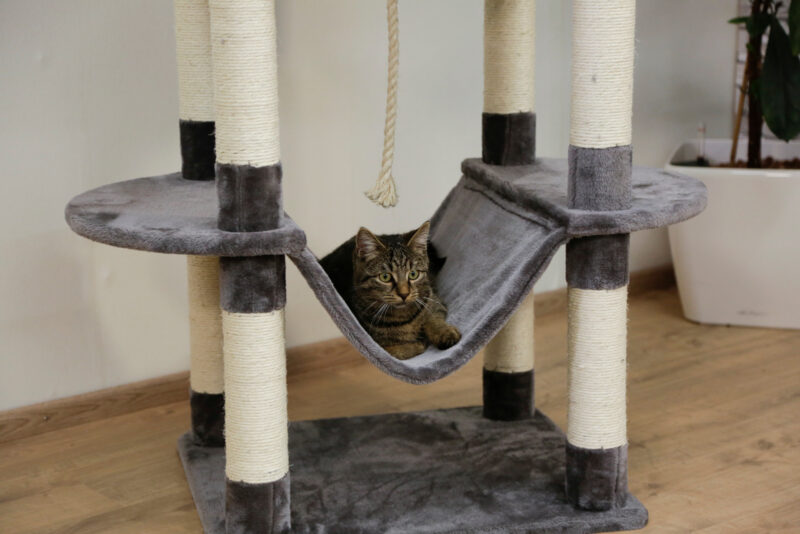 Cat Tree Matteo