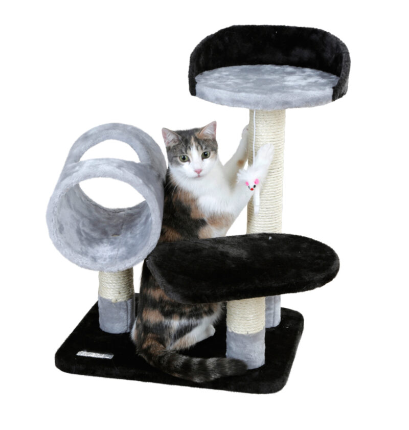 Cat Tree Moon