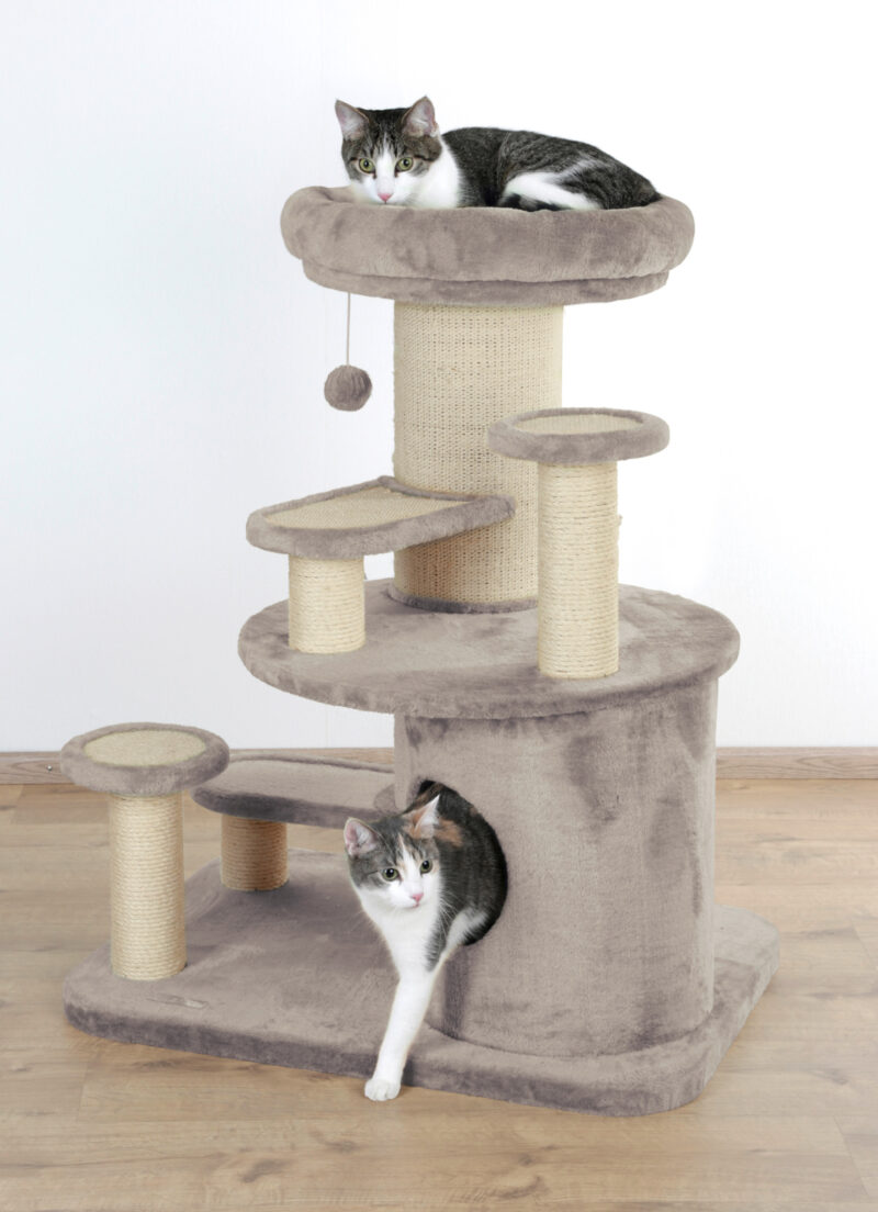 Cat Tree Oldie