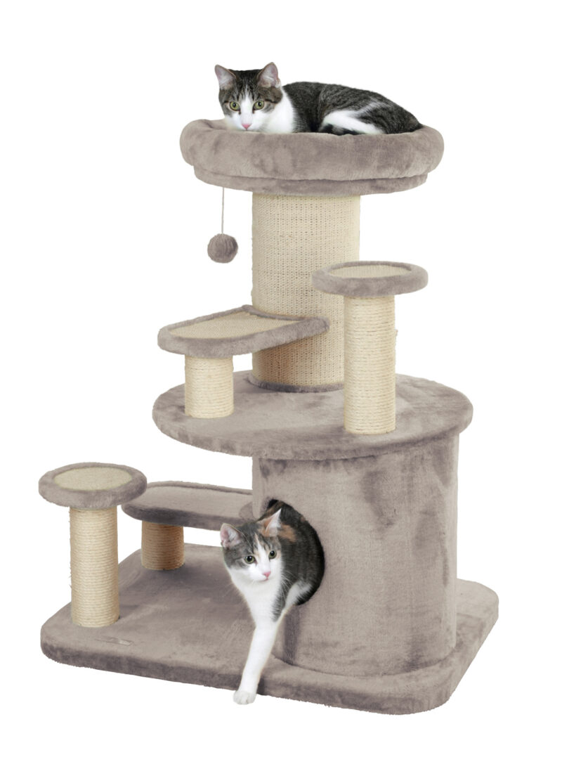 Cat Tree Oldie