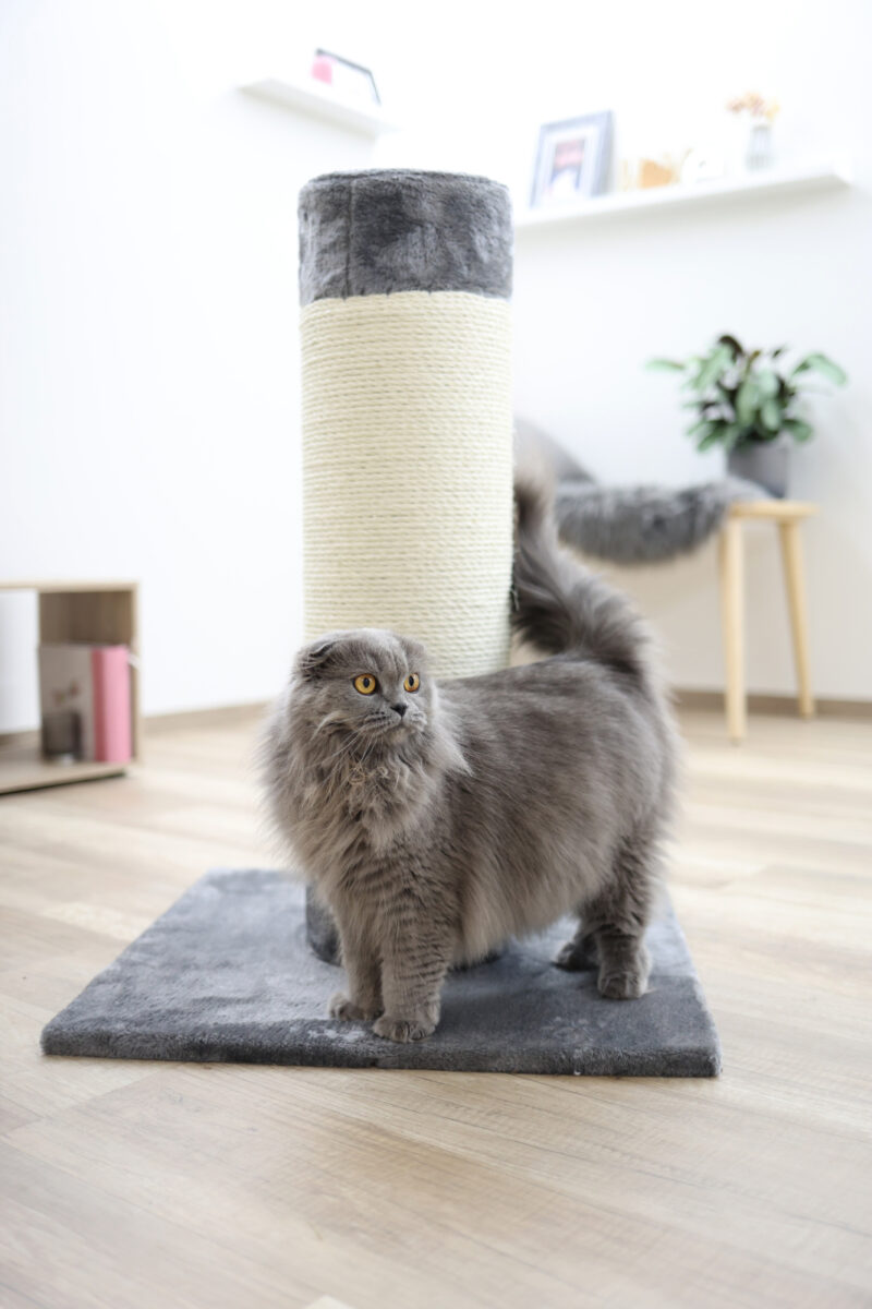 Cat Tree Opal Ultra