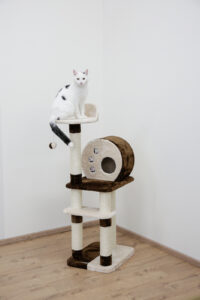 Cat Tree Planet X