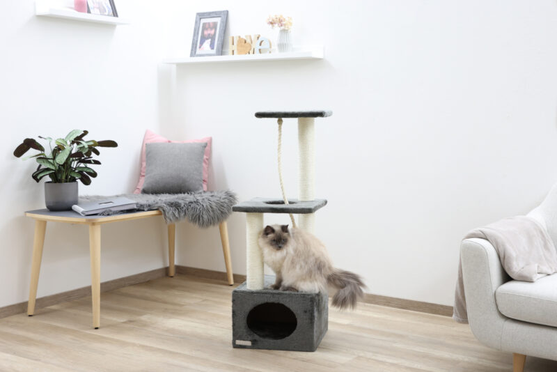 Cat Tree Platin Pro