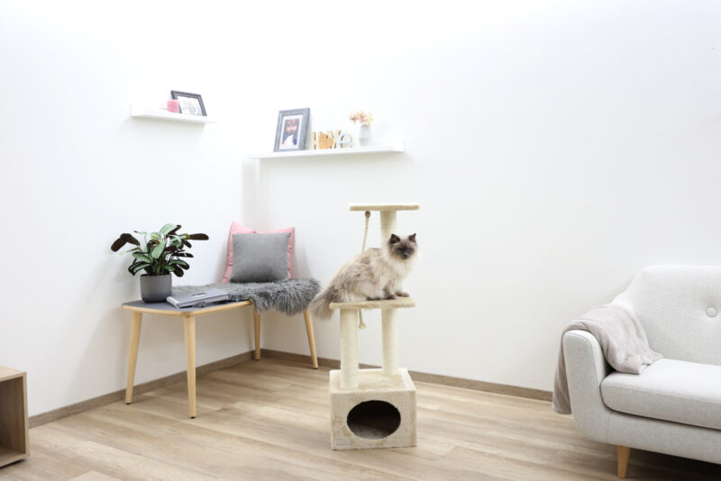 Cat Tree Platin Pro