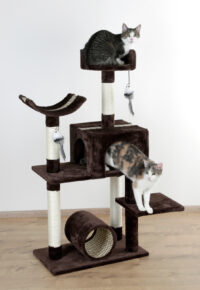 Cat Tree Safari Big