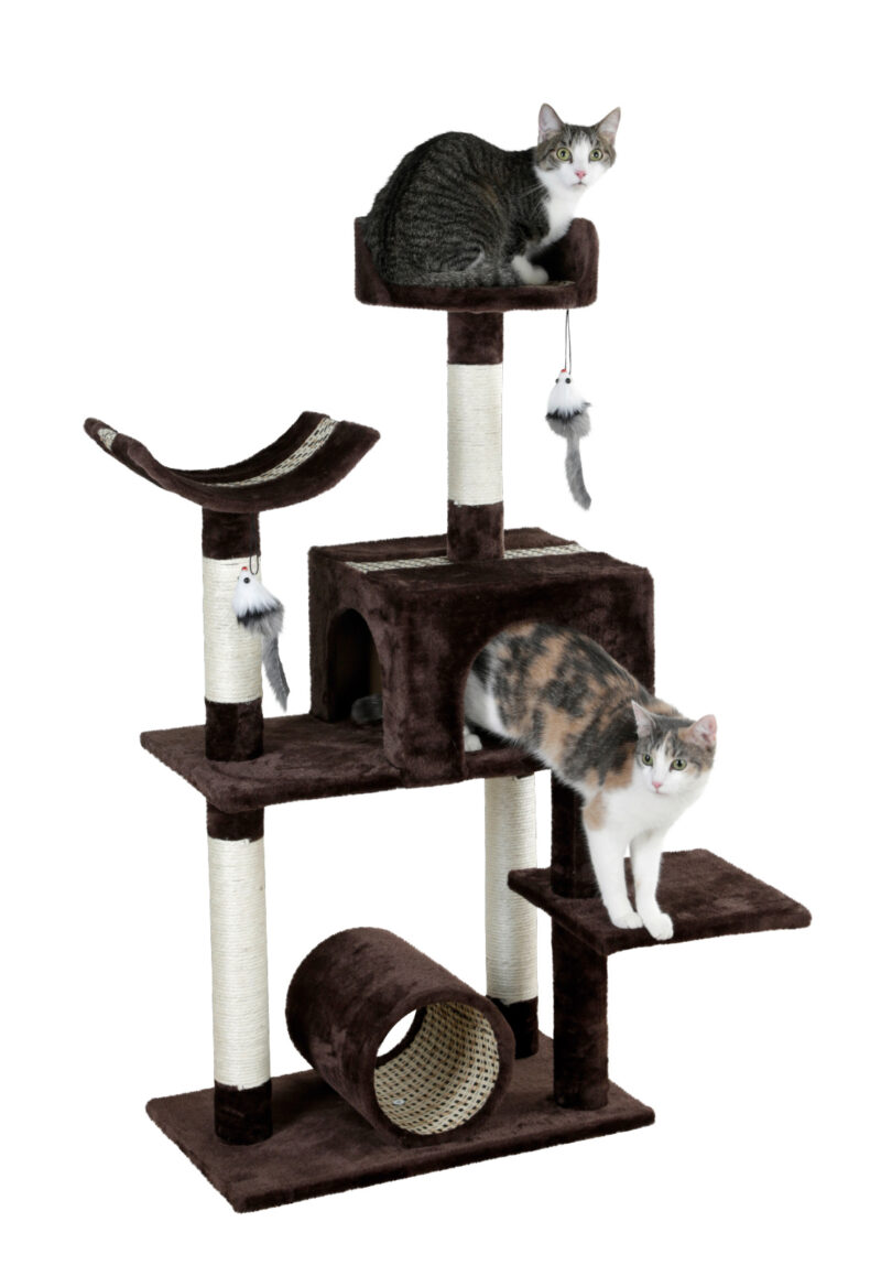 Cat Tree Safari Big