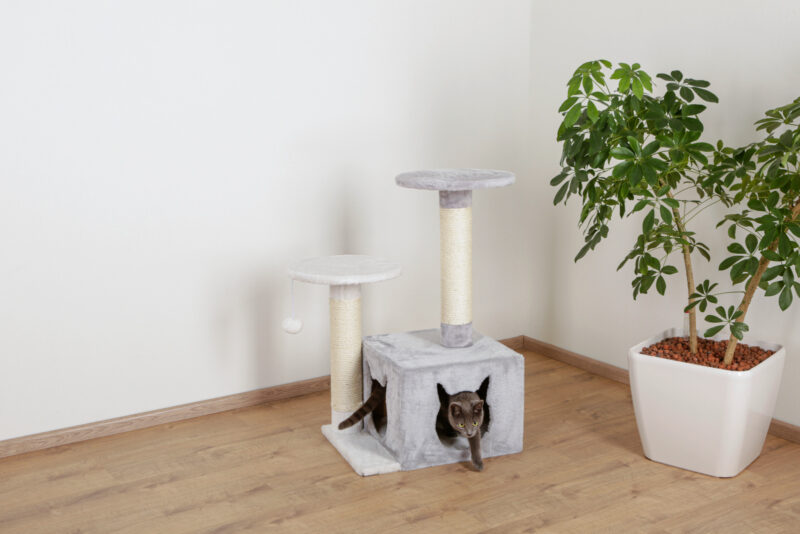 Cat Tree Saphir Light