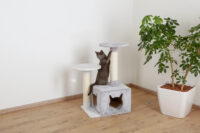 Cat Tree Saphir Light