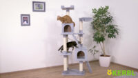 Cat Tree Square