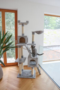 Cat Tree Square