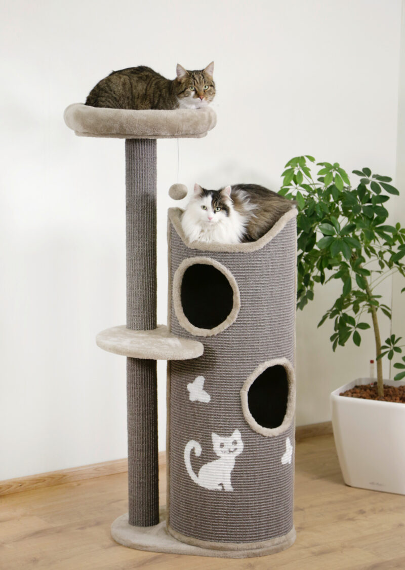 Cat Tree Tiana