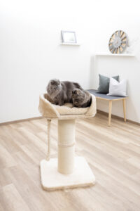 Cat Tree Toni XL