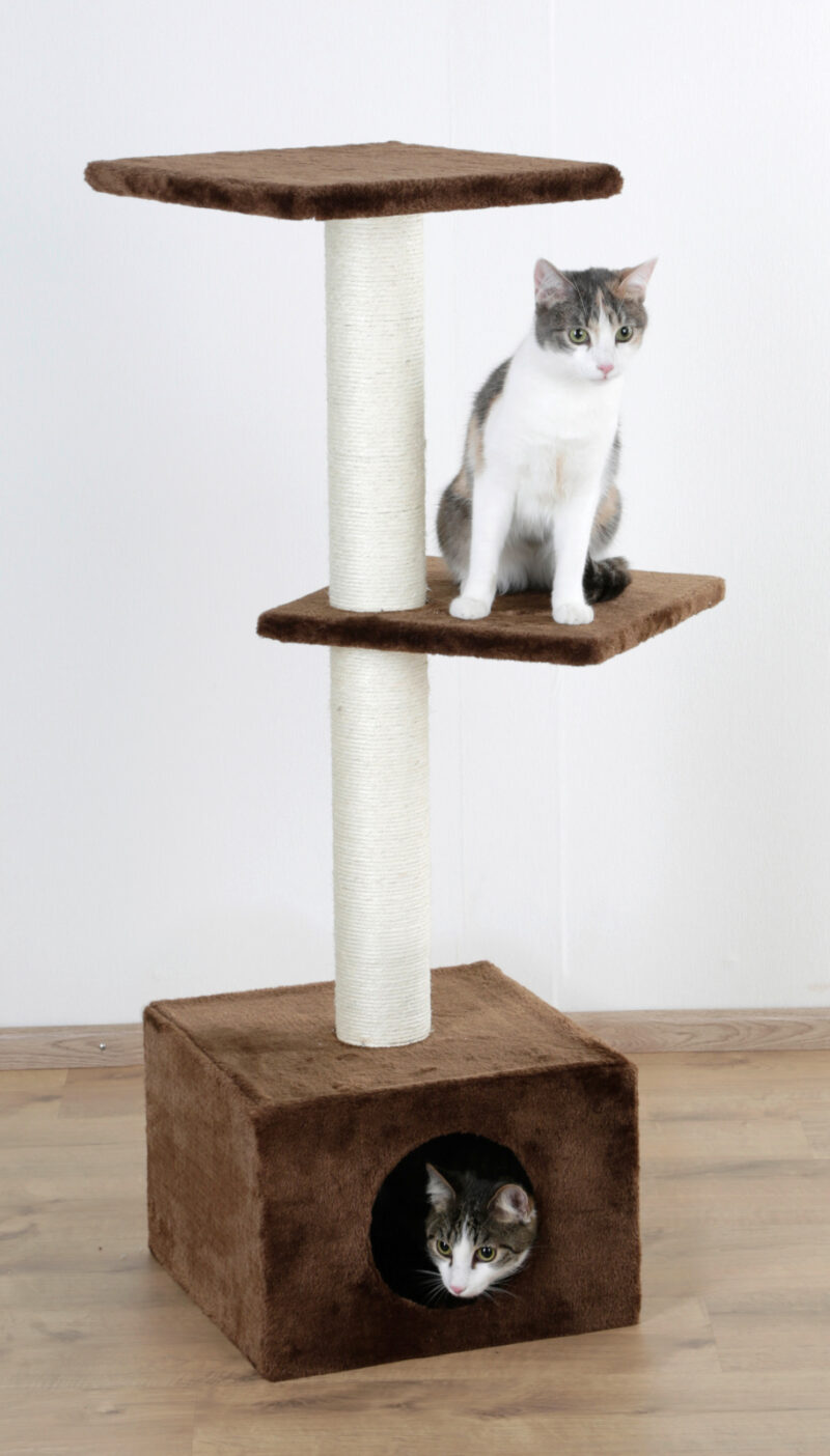 Cat Tree Venus