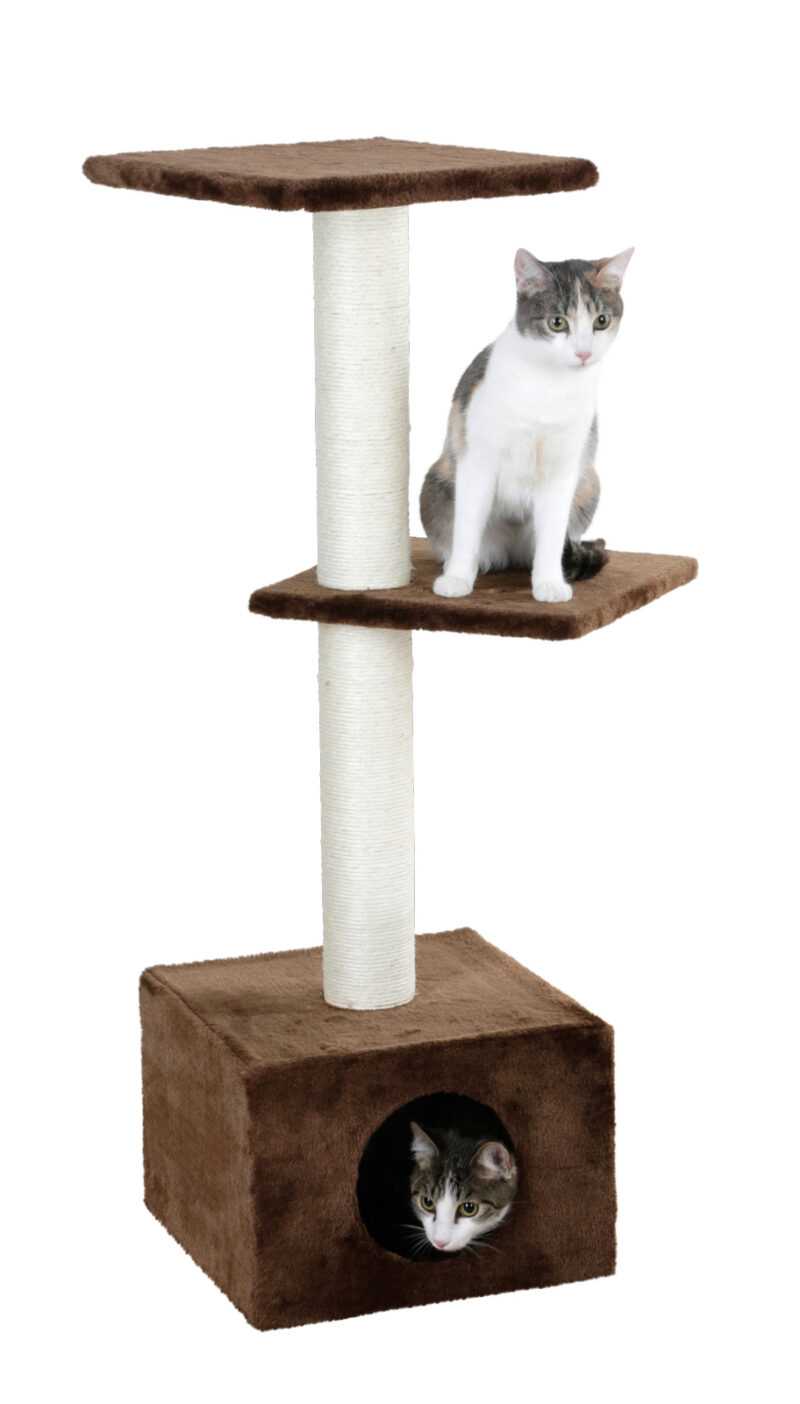 Cat Tree Venus