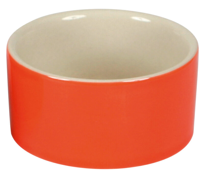 Ceramic Bowl