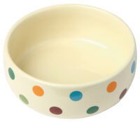 Ceramic Bowl Dots