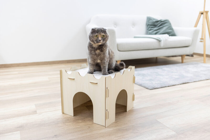 Château pour chats