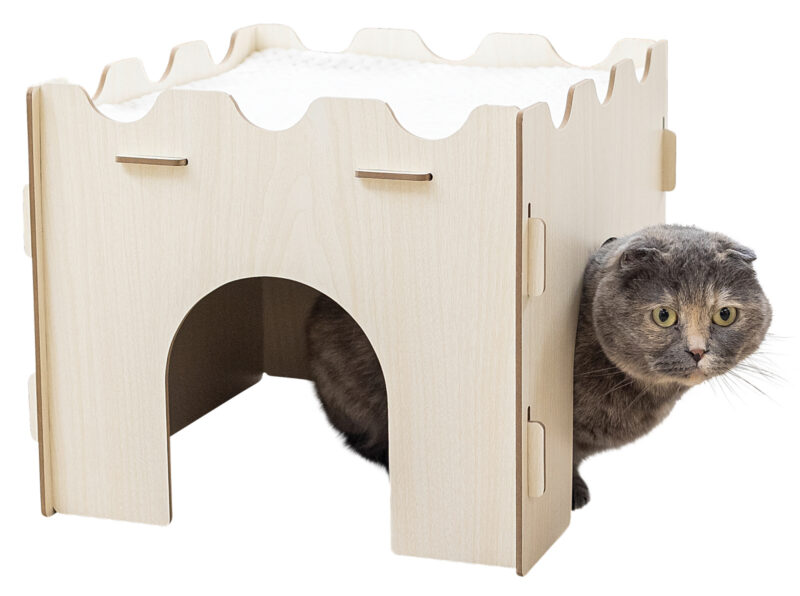 Château pour chats