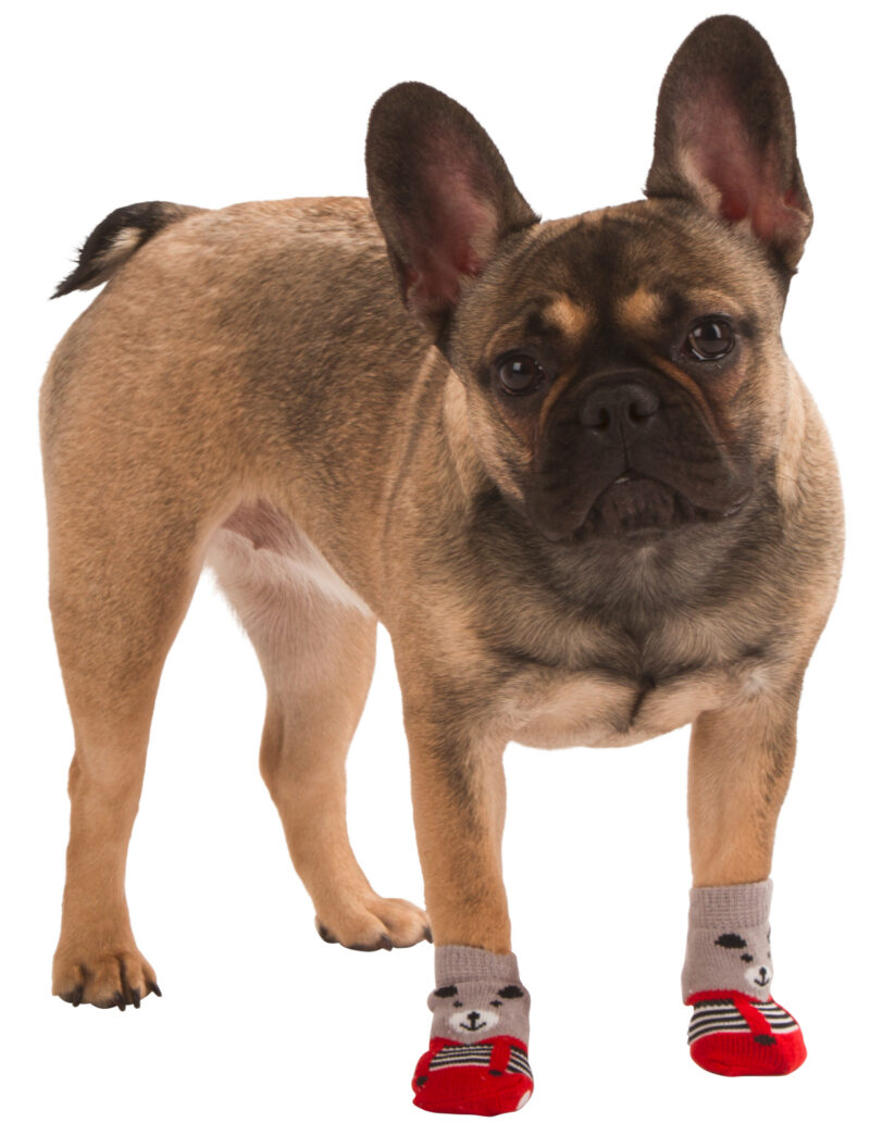 Chaussettes pour chien Bruno