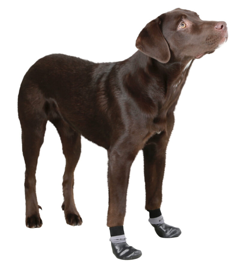 Chaussettes pour chien Susi