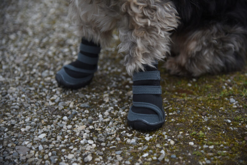 Chaussures pour chien Active