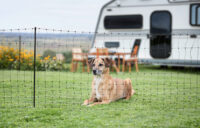 Clôture de délimitation Camping Net